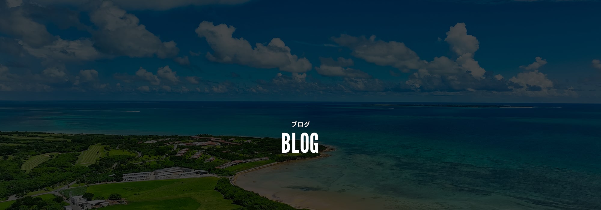 オフィシャルブログ